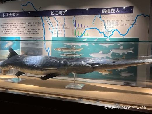 水生生物博物馆