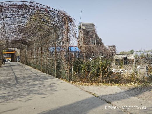 长春市公主岭市旅行攻略