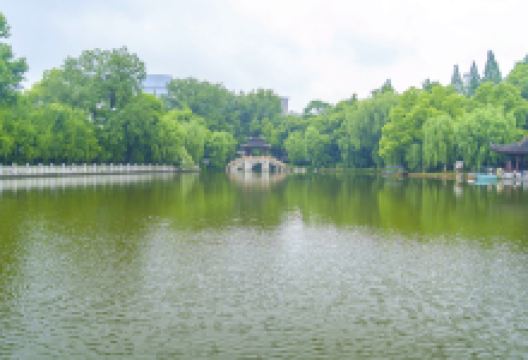 莲花庄公园景点图片