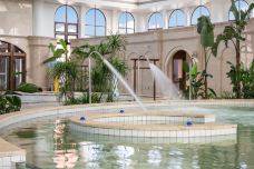 荷兰花海天沐温泉度假酒店·温泉中心-盐城