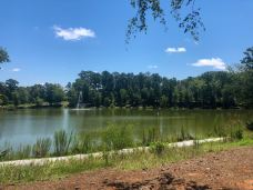 Grace Street Park-格林伍德-Laird_Torrance