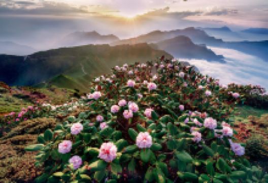 牛背山景点图片