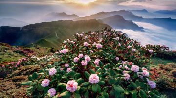牛背山