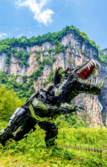 重庆+成都+九寨沟+武隆区+峨眉山7日6晚拼小团图片