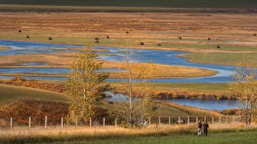 Qika Grassland
