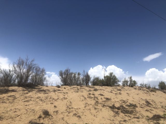 沙漠公园旅行图片 2