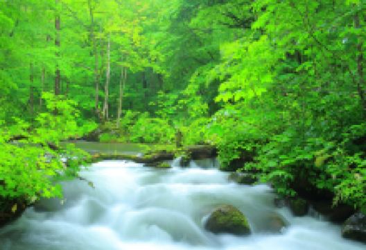 奥入濑溪流景点图片