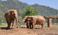 泰国大象自然保护公园-Kuet Chang-q****ky