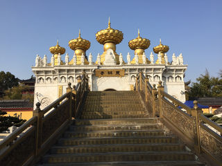 骑行漫记--之上海郊野游