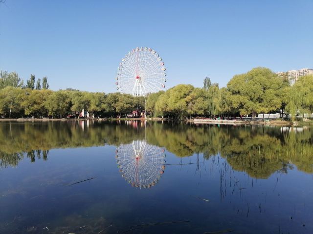 青城公园旅行图片 4