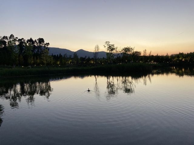 海洪湿地泼水广场旅行图片 3