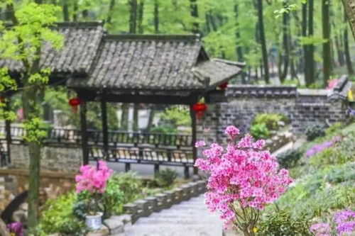 春游江淮丨铜陵最低调的春天，都在这篇玩法里