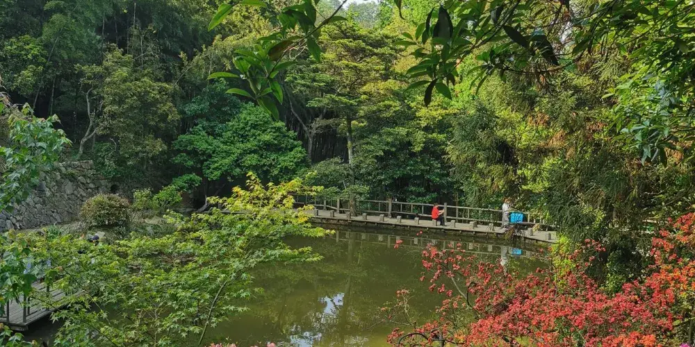 永安旅遊