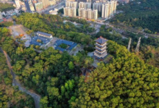 凤岗历史博物馆景点图片