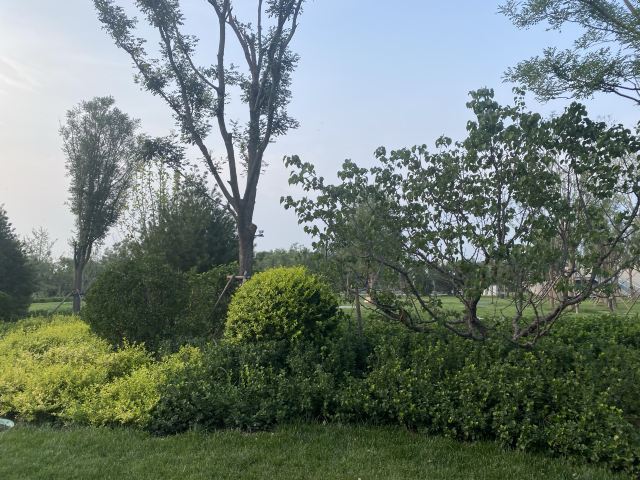 光年城中央公园旅行图片 3