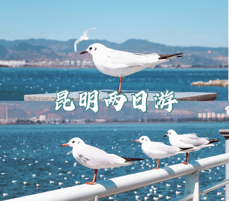 昆明两日游详细攻略|昆明这样玩最舒心