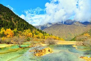 斑斓彩池镶嵌高原的圣地仙境，山水黄龙被誉为人间瑶池