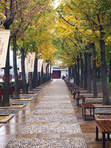 无锡灵山大佛(20171117)