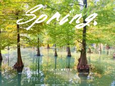 翠竹公园-常州-小白🐏在路上