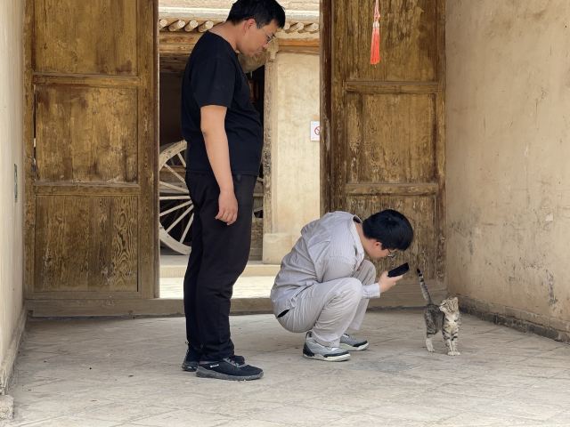 瑞安堡旅行图片 2