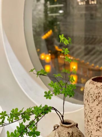 Maison d'Hôtes Mirabelle Restaurant