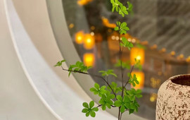 Maison d'Hôtes Mirabelle Restaurant