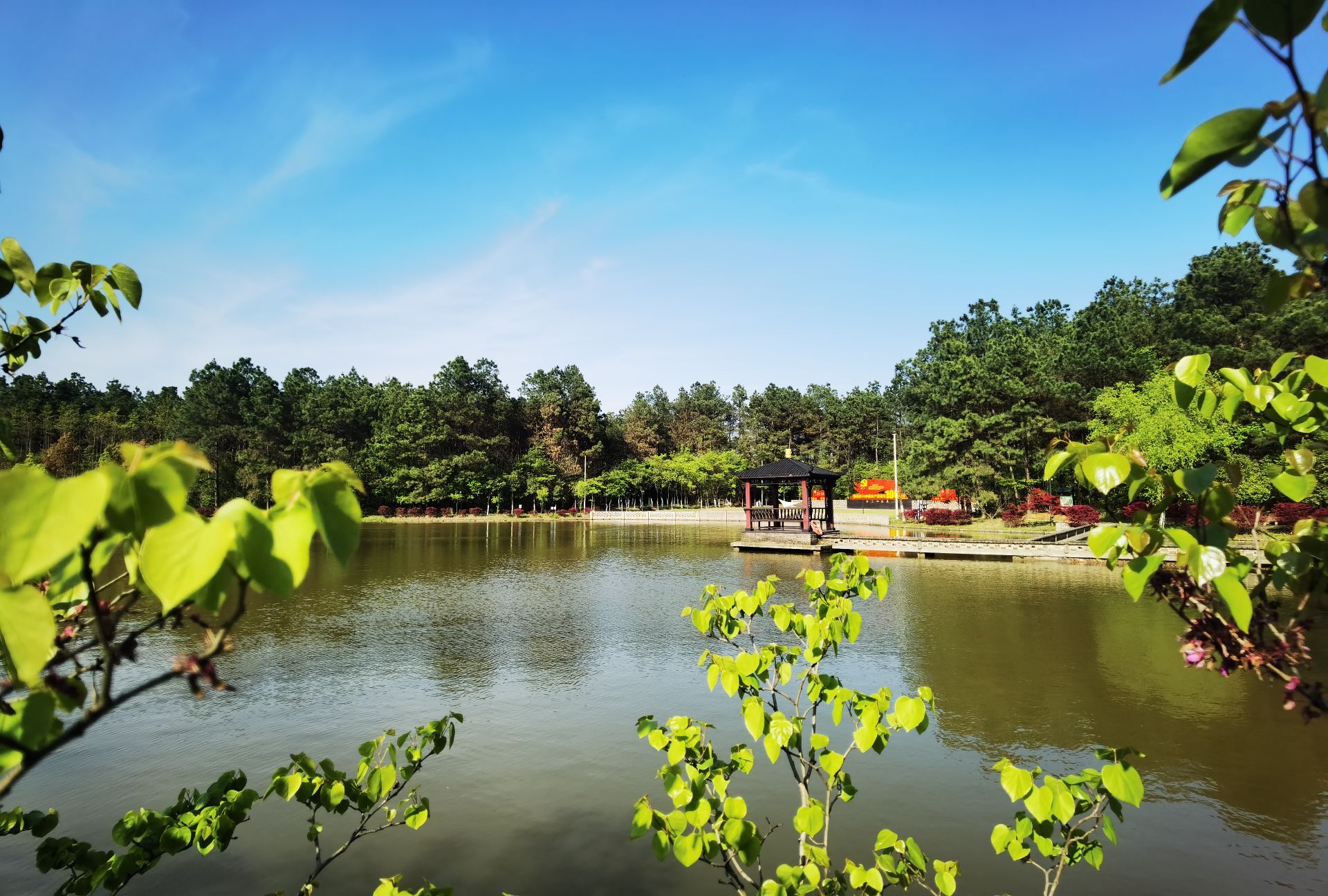 金三和生态农庄餐厅图片