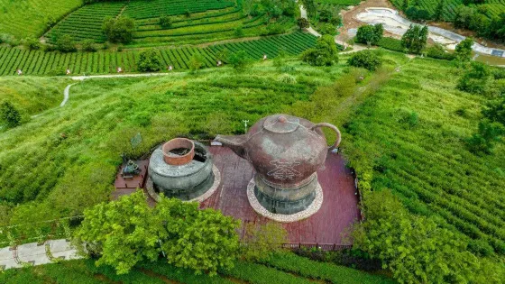 大明山茶場