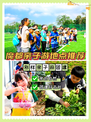 打卡亲子游团建来乐活营地长兴岛郊野公园