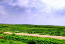 鄱阳湖大草原景区-无念岛景点图片