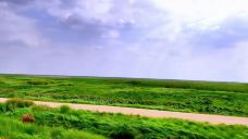 鄱阳湖大草原景区-无念岛-鄱阳