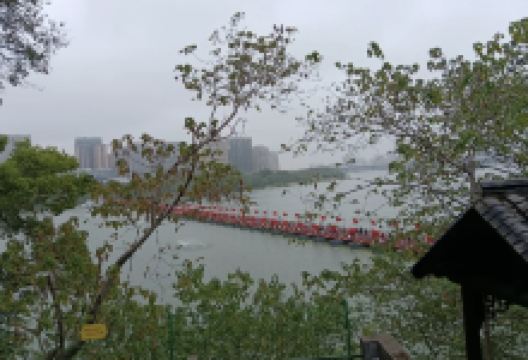 月湖区鹰潭滨江公园景点图片