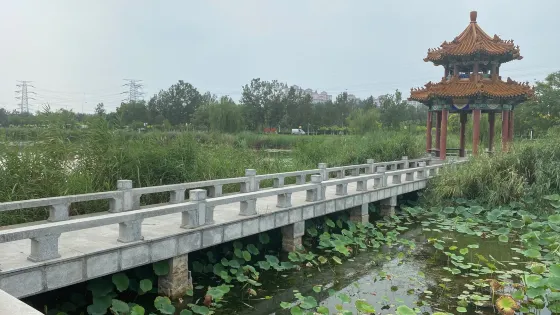 金水公園