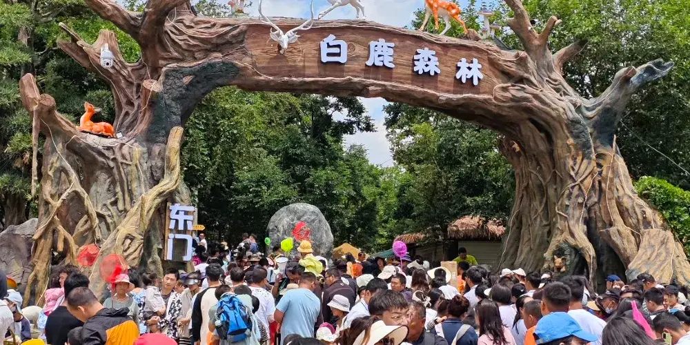 永安旅遊