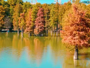 Qingshan Lake