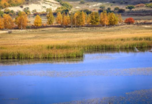 御道口草原森林风景区景点图片