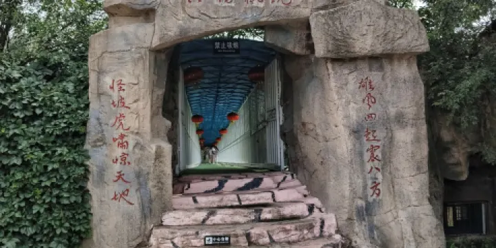 怪坡東北虎園-觀虎台