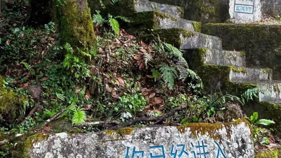 哀牢山蟲谷