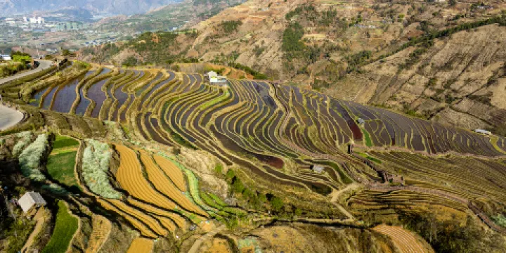 米易傈僳梯田景區