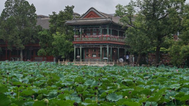 莲池书院博物馆(古莲花池)