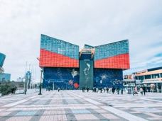 天保山摩天轮-大阪-vivienvivien