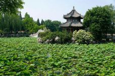 古莲花池-保定-bj180