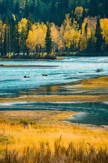 烟台西部明珠:北疆,一个总让我看不够去了还想去的地方