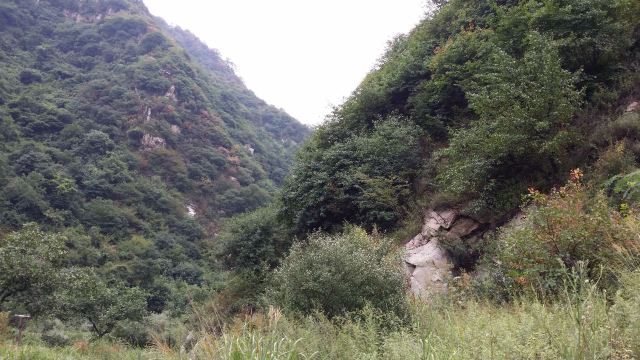 抱龙峪旅行图片 7