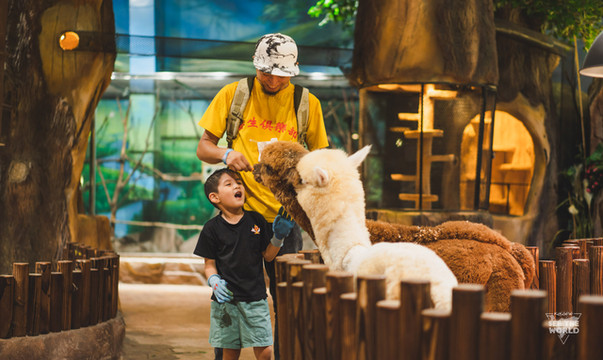 灵魂拷问，夏天带魔都娃娃去哪里放电？