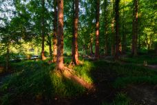杭州西湖风景名胜区杭州花圃-杭州