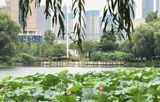 月湖风景区-武汉-冰之炙点