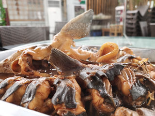 一道垮炖鱼，半部密云史，在北京挥之不去的水库鱼情结