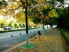 迎泽大街-太原-精灵背包游侠