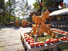 潘安湖国家湿地公园-徐州-JXB333